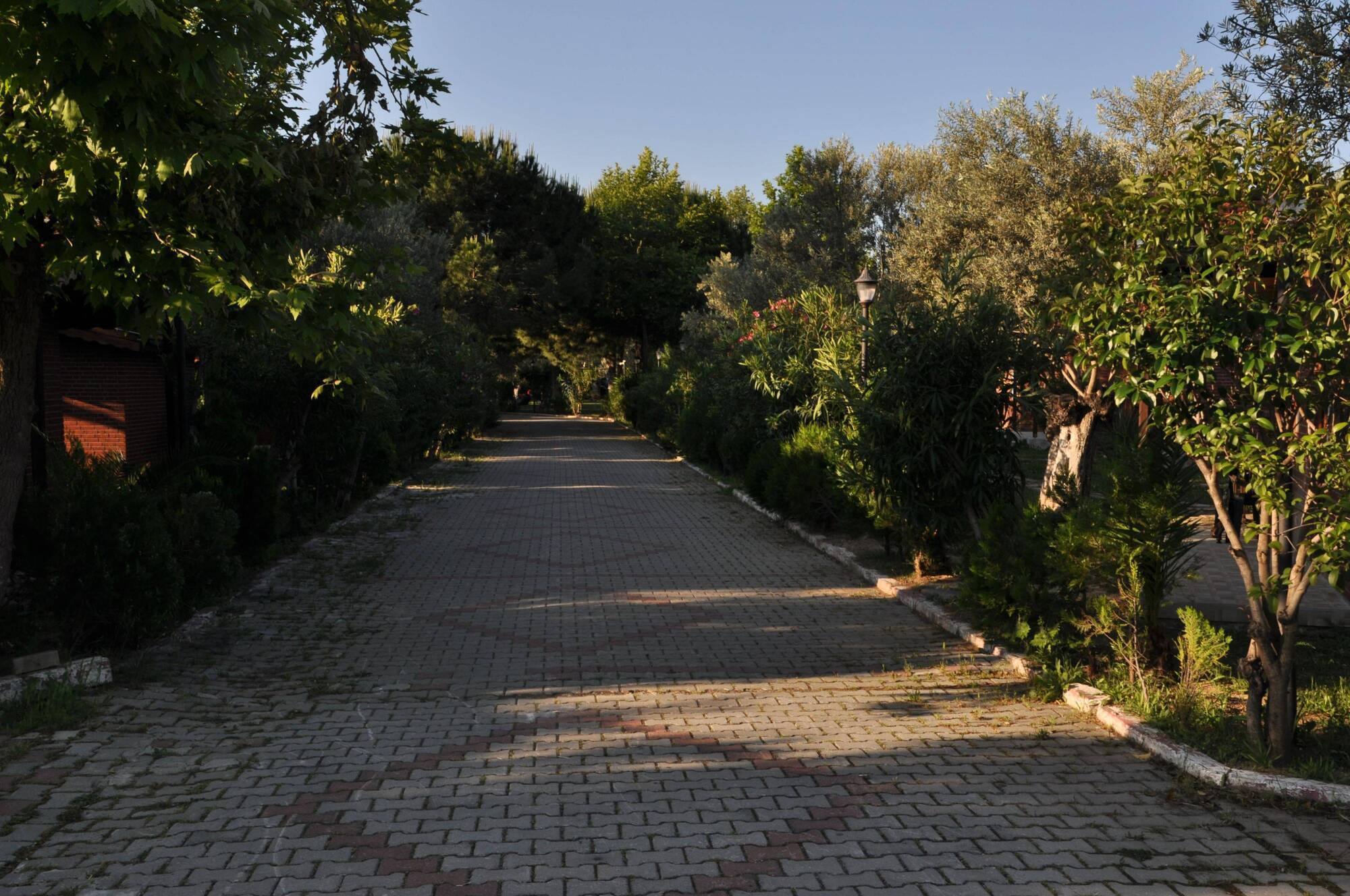 Kervan Tatil Koyu Edremit  Exterior photo